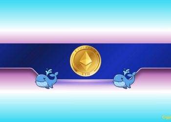 Ethereum Whales Heap Many Millions of ETH Regardless Of Slow Rate Activity