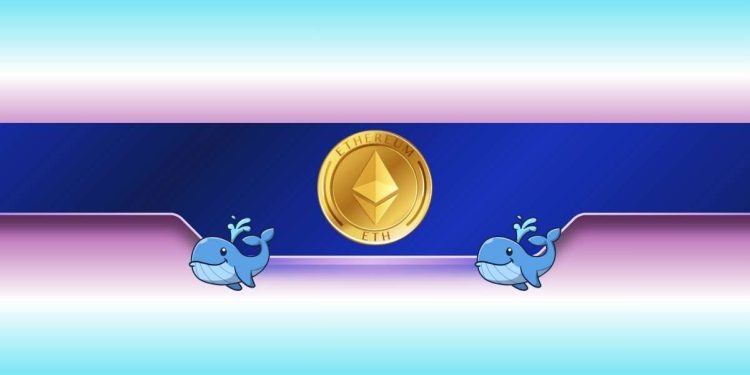 Ethereum Whales Heap Many Millions of ETH Regardless Of Slow Rate Activity