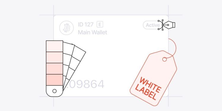 Stablecoins and White-Label Platforms Reshape Institutional Funds, With B2BINPAY Increasing Its Stack