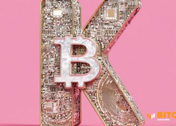 Klarna Allies With Privy to Discover Use Crypto Pocketbooks