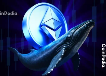 Ethereum Whales Transform Favorable; Can They Gas An End Of Year Rally?