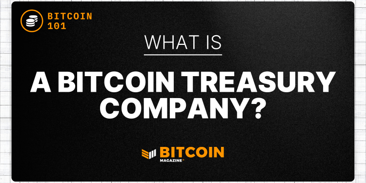 What is a Bitcoin Treasury Business?