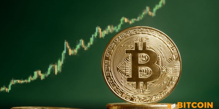 Bitwise States Bitcoin’s Four-Year Cycle Is Dead, Forecasts Bitcoin New Highs in 2026 