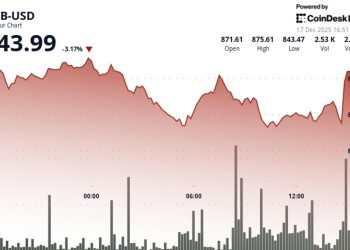 BNB goes down virtually 3% to as bitcoin whipsaw and technology selloff struck crypto market