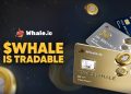 Whale.io Releases $WHALE NFT Collection on Solana: New Pre-Market Stage Ahead of TGE