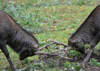 coinbase-ceo-clashes-with-french-banker-over-bitcoin