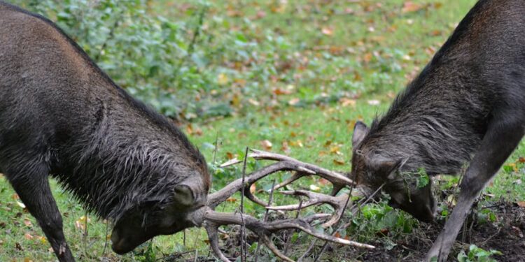 coinbase-ceo-clashes-with-french-banker-over-bitcoin