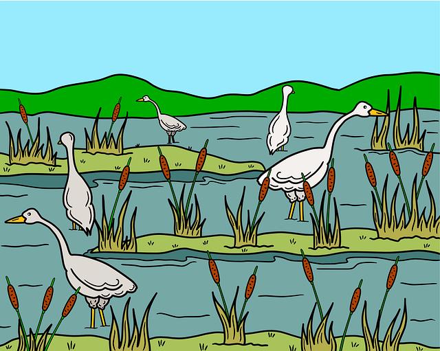 Implications for Investors and Developers in the Ethereum Ecosystem