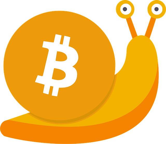 Implications for Investors Navigating the Current Bitcoin Landscape