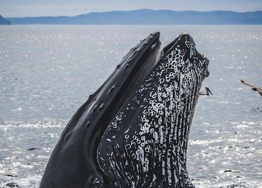 New Year Trends: Solana Whale Activity Signals Potential Rally While MSTR Faces Scrutiny