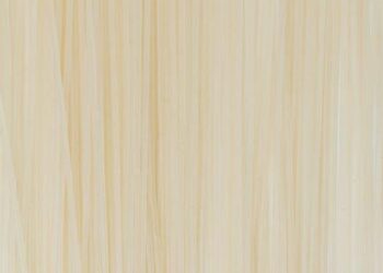 ZAMA Rebounds Over 19% After Post-Launch Correction