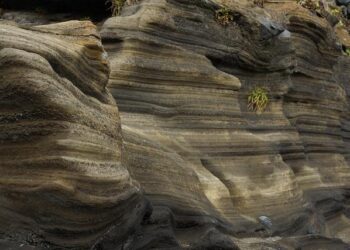 What The Dogecoin Recovery From This Accumulation Zone Means For The Price