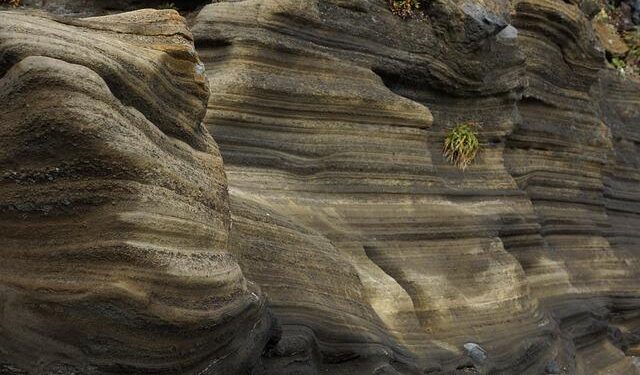 What The Dogecoin Recovery From This Accumulation Zone Means For The Price