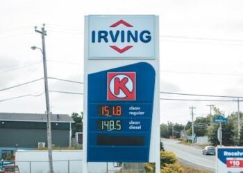 Solana Pops Back Above $80 Price As On-Chain Activity Recovers