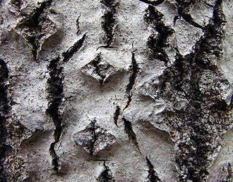 Ethereum Bearish Sentiment Intensifies As Taker Buy Sell Ratio Drops