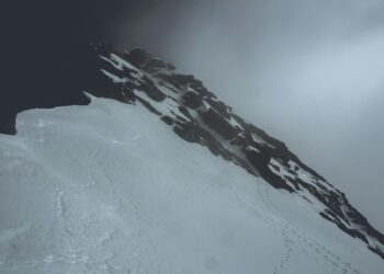 Avalanche: Is a 30% drop next as AVAX fails at KEY support?