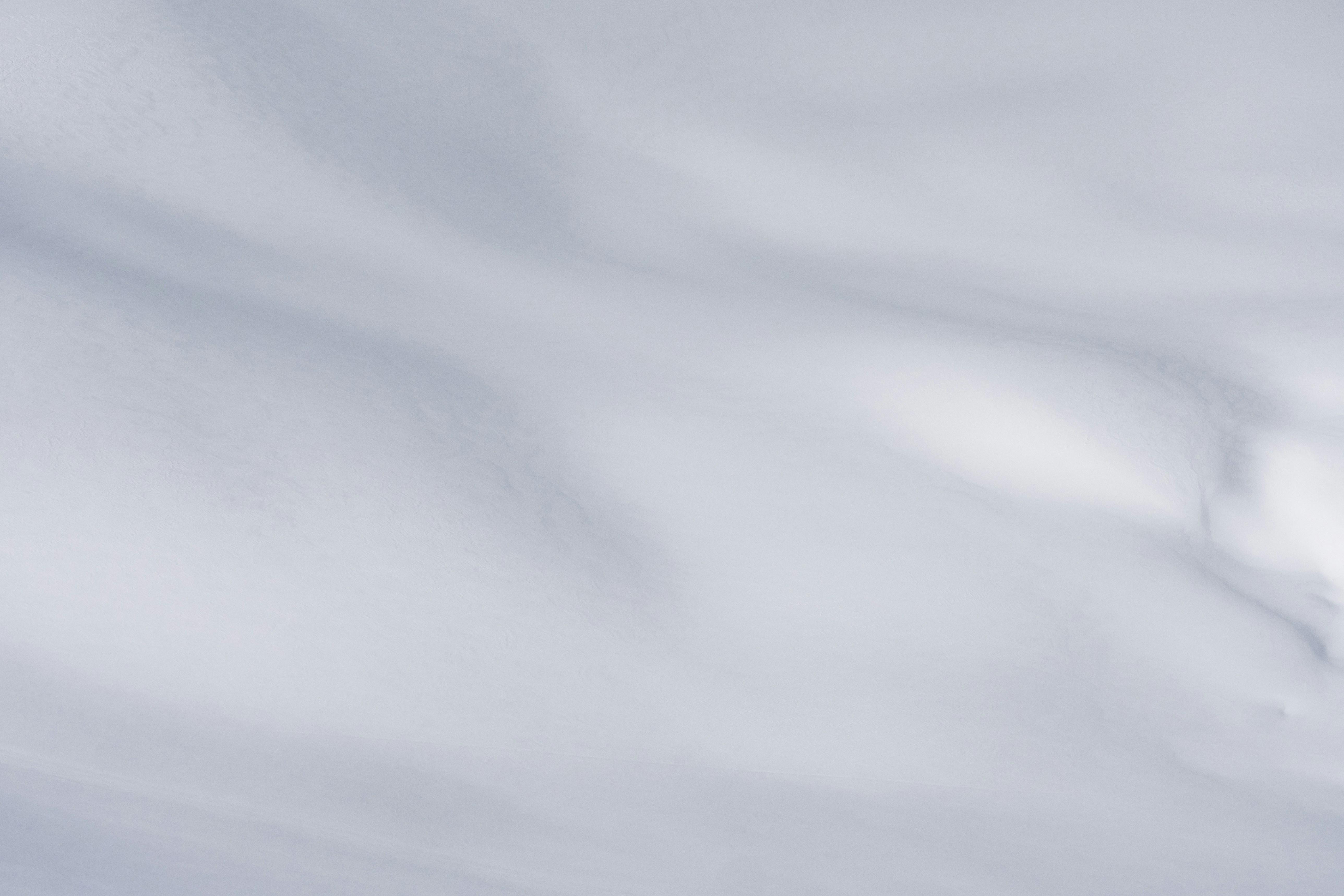 Rivals' Silence Amid Market Turmoil Explored