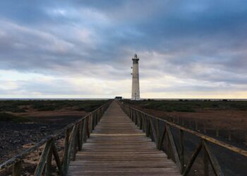 Santiment: Solana Growth Signals Hope Despite Woes