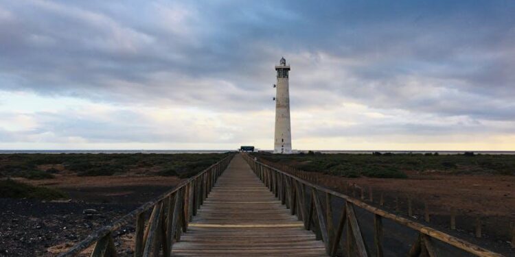 Santiment: Solana Growth Signals Hope Despite Woes