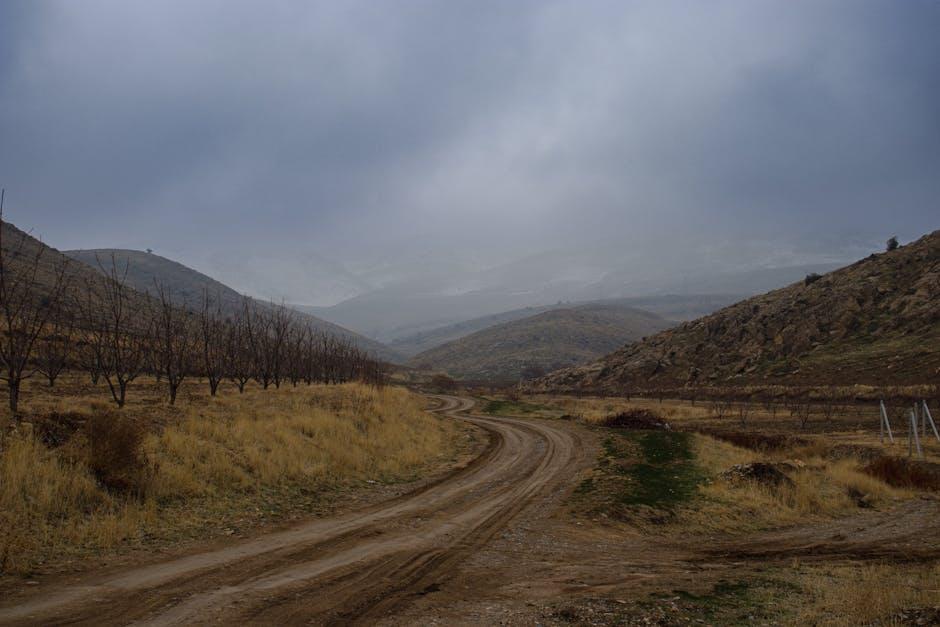 Analyzing investor sentiment and macroeconomic factors