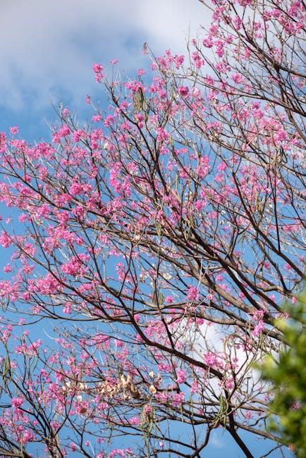 Strategic Approaches to Mitigate Losses Amid IP Sector Volatility