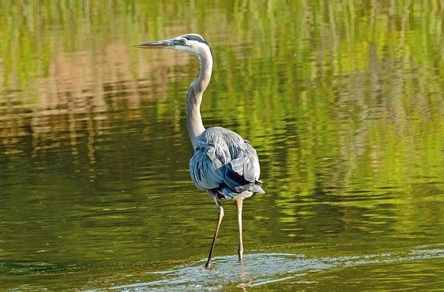 Key Recommendations for Investors Navigating Ripple’s Evolving Ecosystem