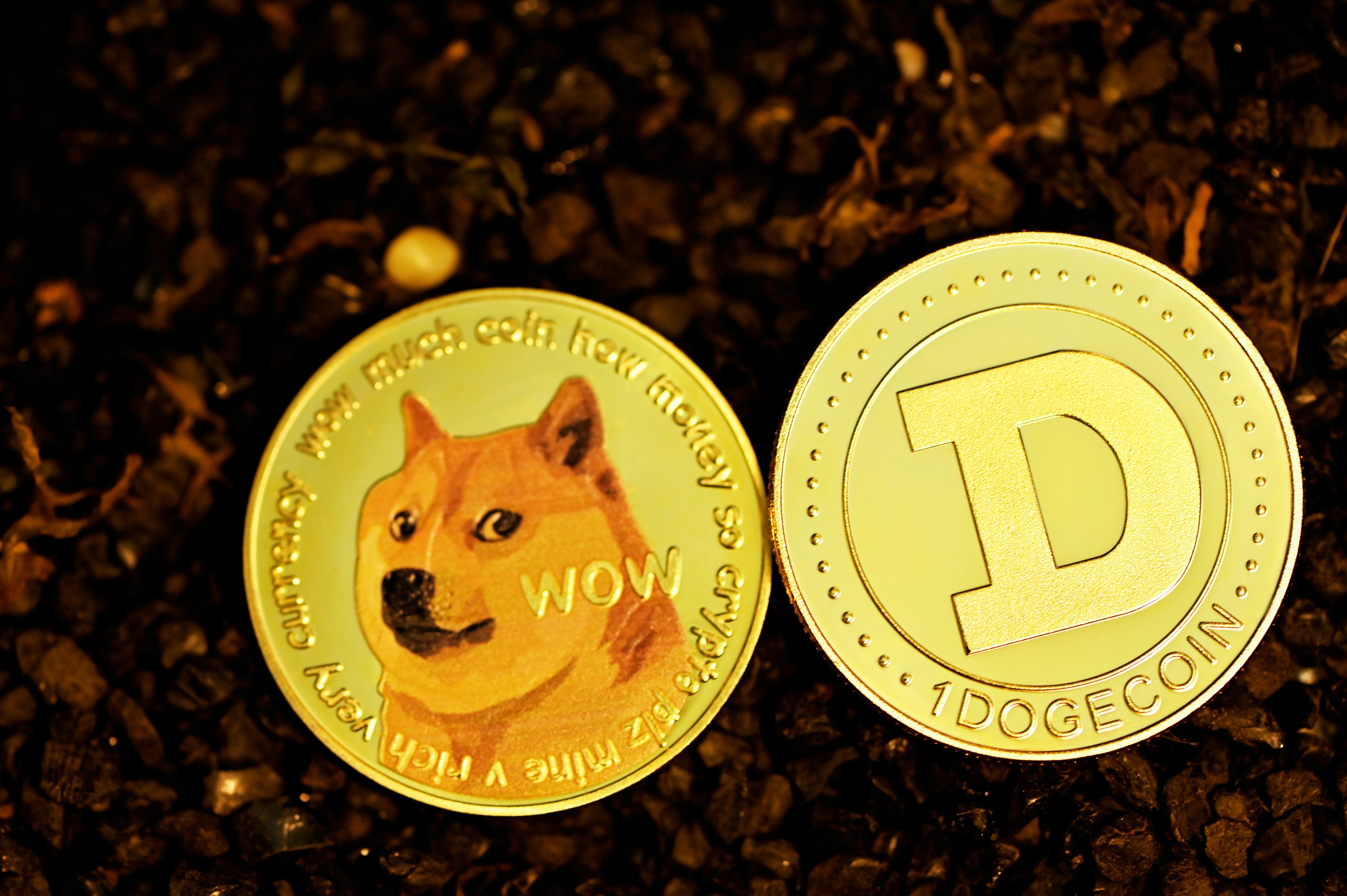 Investment Strategies and Risk Management for Potential Dogecoin Investors