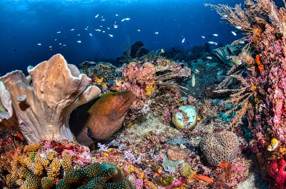 Strategic Recommendations for Stakeholders Navigating the Expanding HBAR Ecosystem