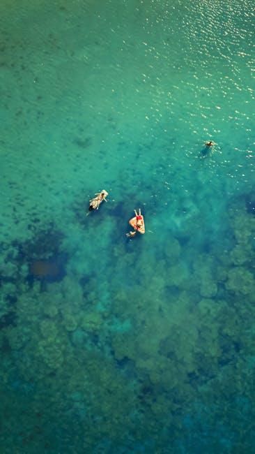 Impact on SHIB Market Dynamics and Investor Sentiment