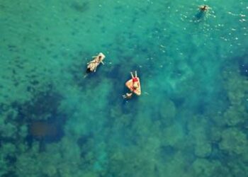 SHIB Price Wobbles At Bottom Upon Leverage Hike