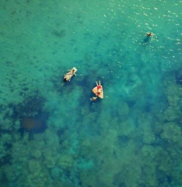 SHIB Price Wobbles At Bottom Upon Leverage Hike