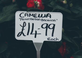 Cardano Price Prediction: Tightening Bollinger Bands Hint at Major ADA Move