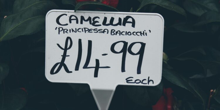 Cardano Price Prediction: Tightening Bollinger Bands Hint at Major ADA Move
