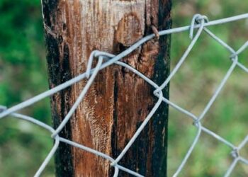 Sharplink’s 15,464 ETH staking milestone sparks fresh debates: Details