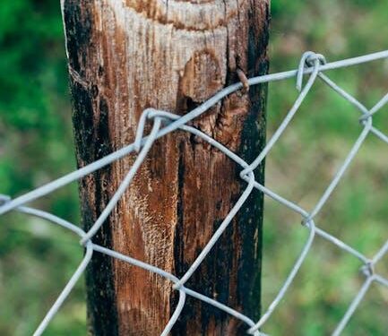 Sharplink’s 15,464 ETH staking milestone sparks fresh debates: Details