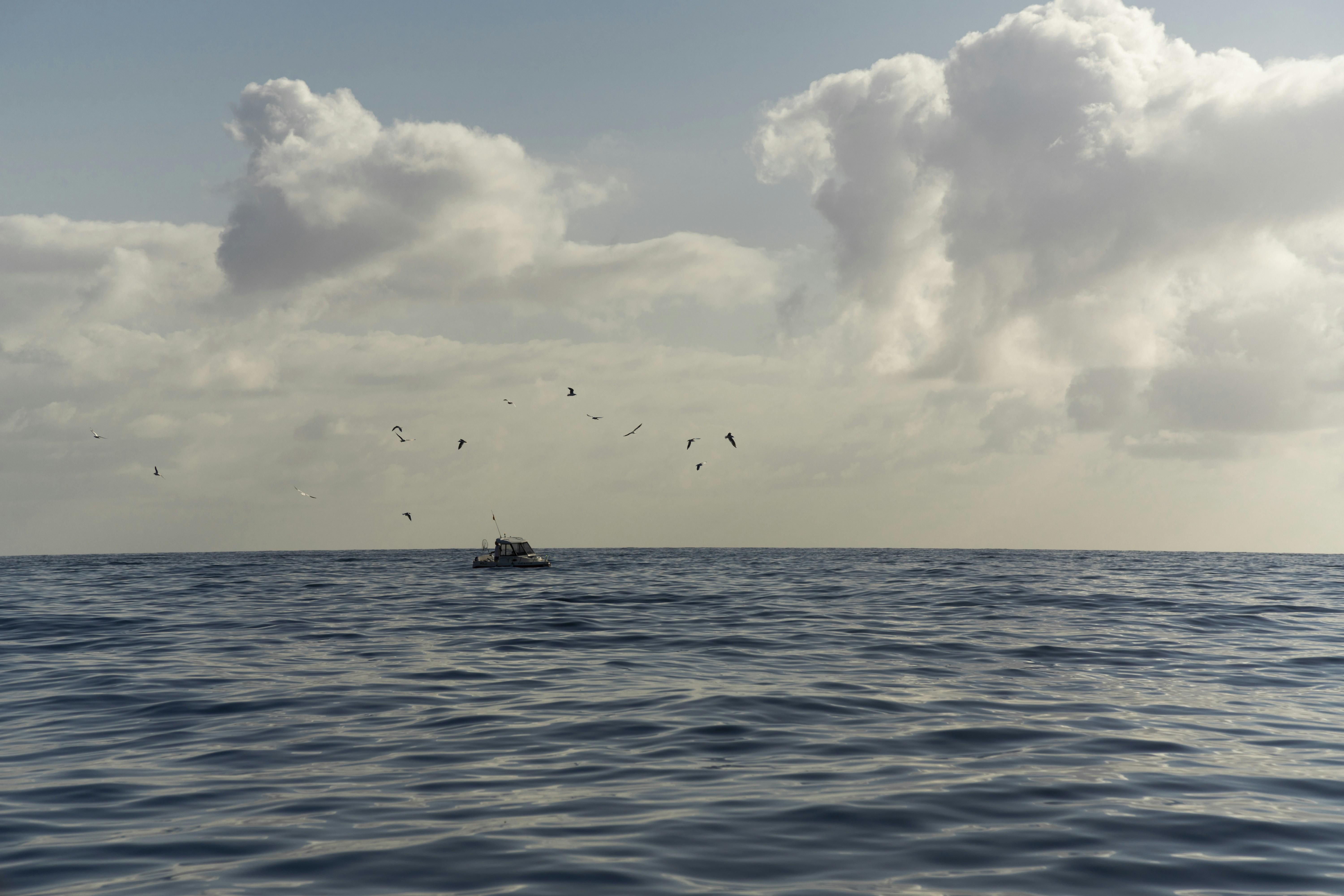 Understanding the strategic rationale behind OpenSea's decision to delay the $SEA token launch