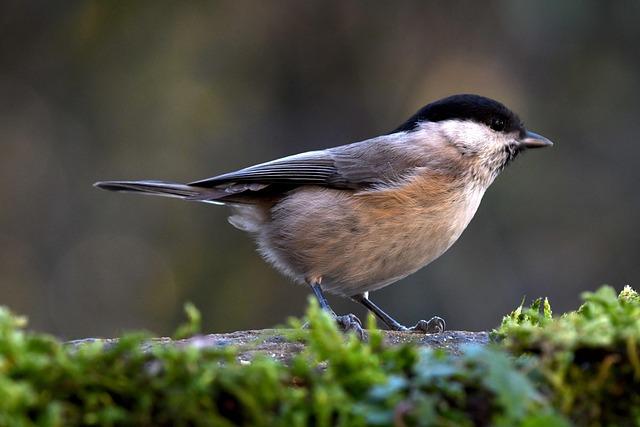 Strategic Recommendations for Navigating ZCash’s Volatile Landscape