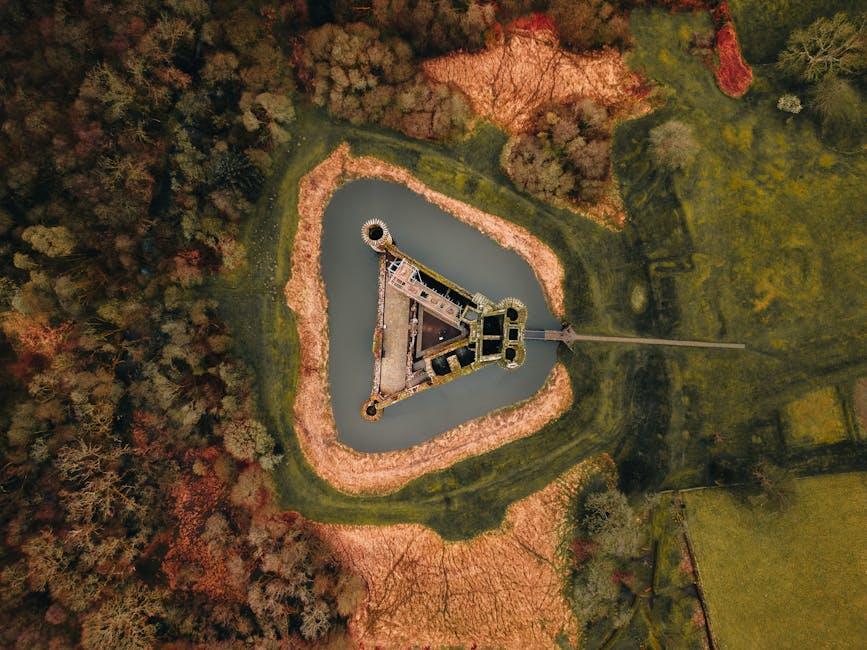 Market Momentum and Underlying Factors Driving BUILDon's Rally