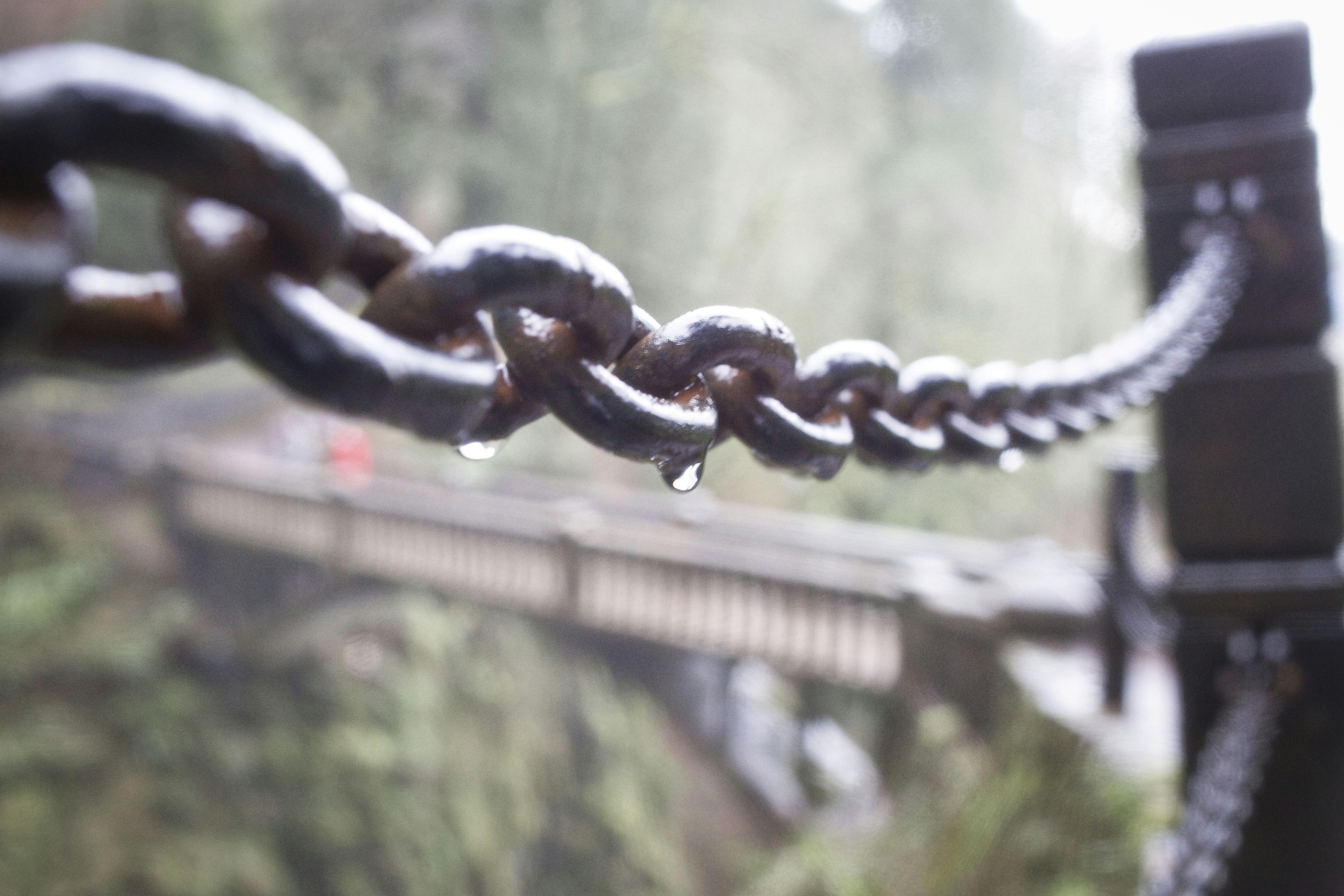 Analyzing Risks of Authoritarian AI Development Linked to Blockchain Philanthropy