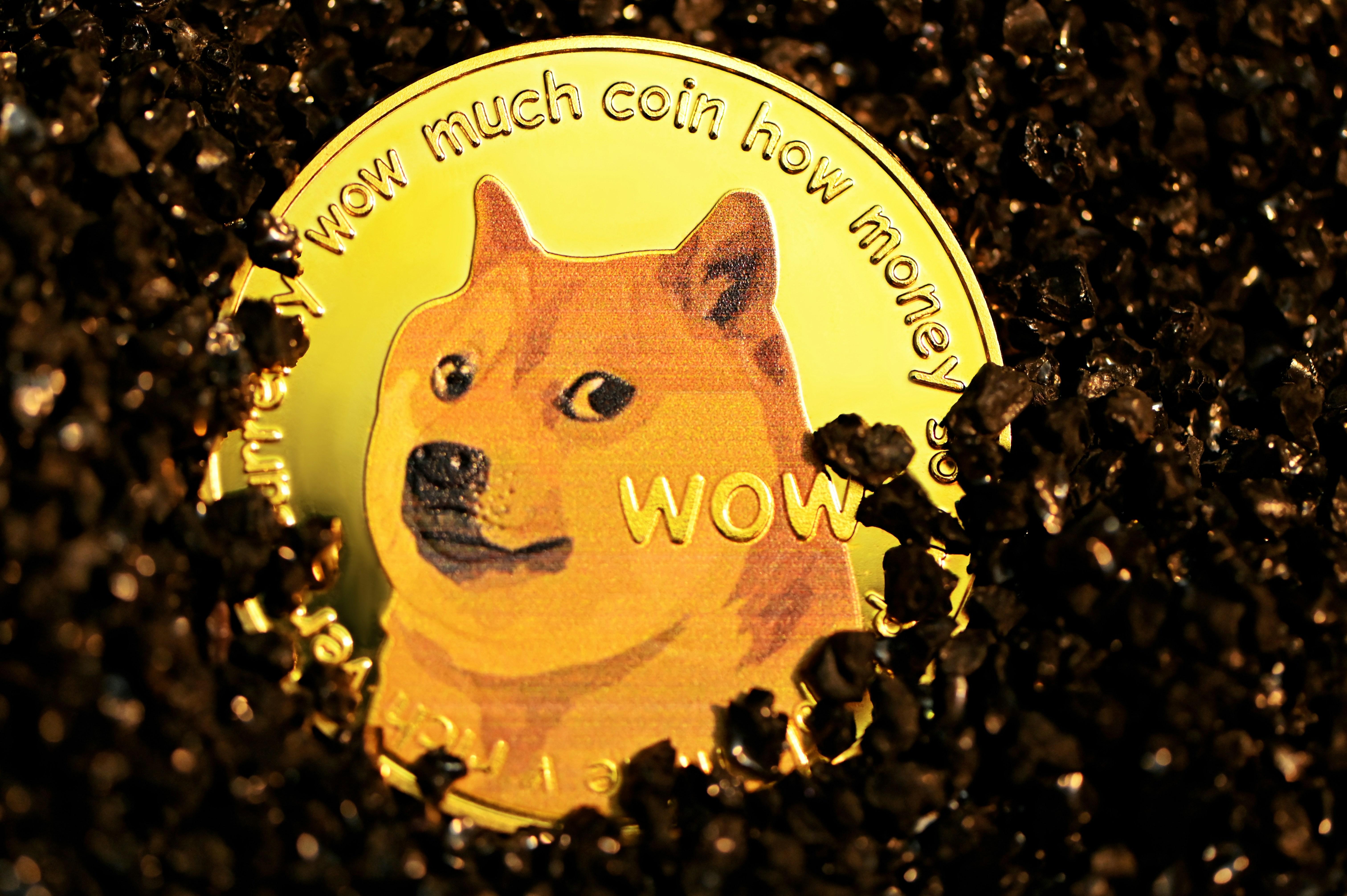 Expert Analysis Discusses Key Drivers Behind Dogecoin's Rally Potential
