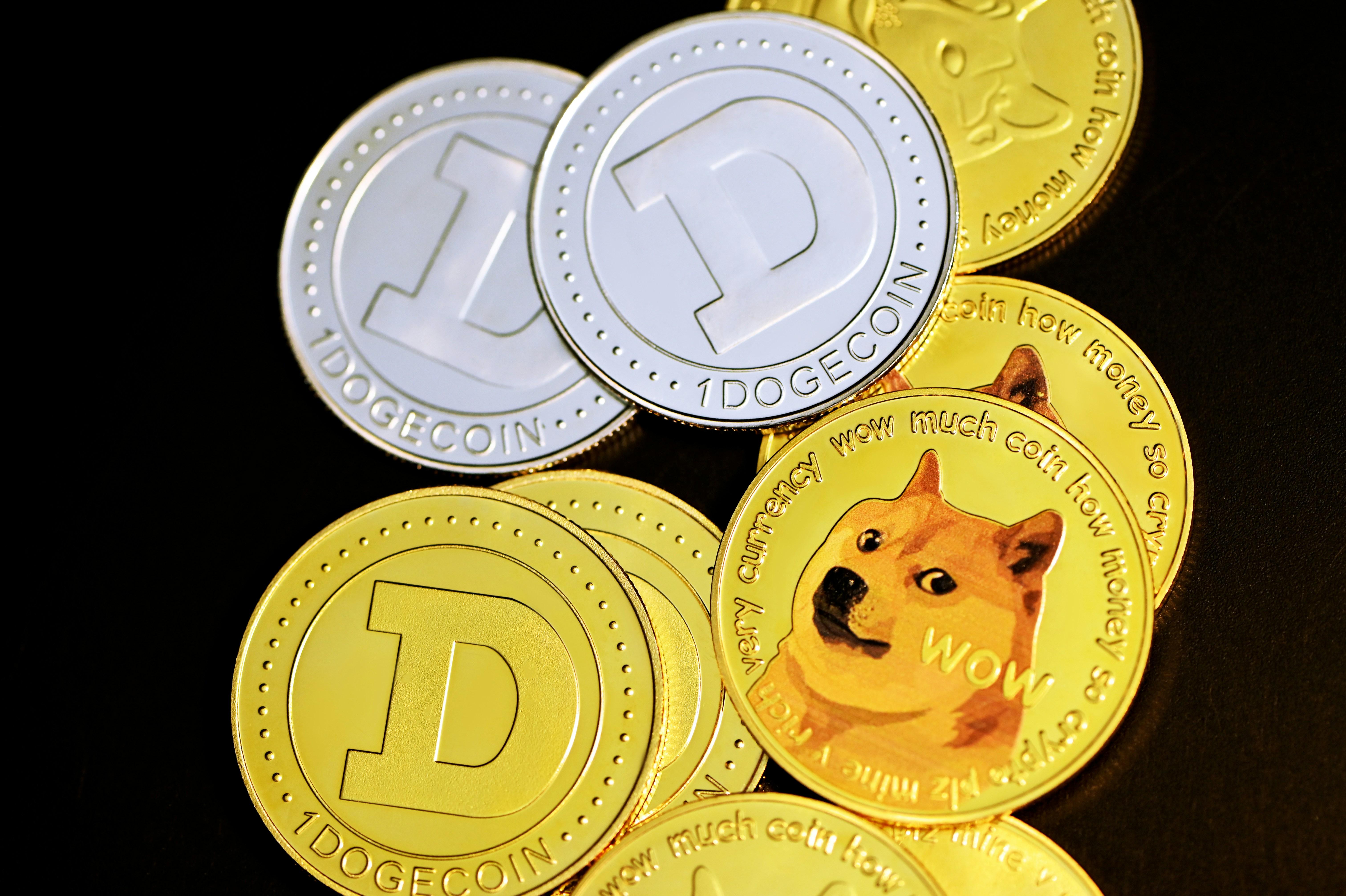 Strategic Recommendations for Investors Considering Dogecoin Exposure